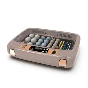 Полностью автоматический бытовой Маленький инкубатор для яиц попугая Интеллектуальный инкубатор с регулируемой температурой и влажностью